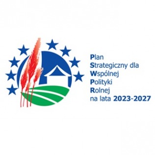 LSR 2023-2029