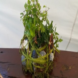 Warsztaty aktywizacyjne dla osób powyżej 50 r.ż. i dla kobiet