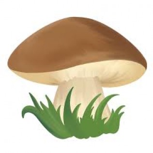 Współpraca z grzybami w tle